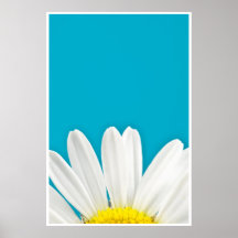Daisy petals poster