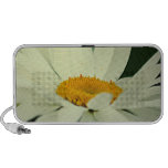 Daisy Portable Speakers