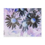 Daisy Post Card
