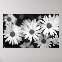 Daisy Print