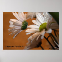 Daisy Print