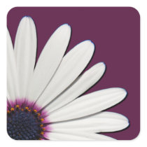 Daisy Purple Envelope Seals Square Stickers