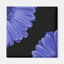 Daisy Refrigerator Magnets