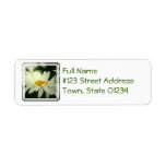 Daisy Return Address Mailing Label