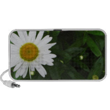 Daisy Speakers