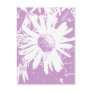 Daisy Stamp Design