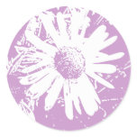 Daisy Stamp Design