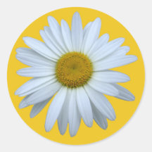 daisy sticker