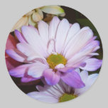 Daisy Sticker stickers