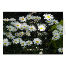 Daisy Thank You Card