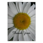 Daisy Thank You Card