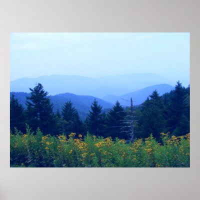 DaisyField Posters by SweetRascal