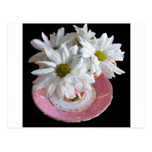 Daisy's in Teacup Postcards