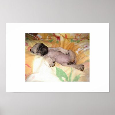 Daizzzzzy Print by Butterflea