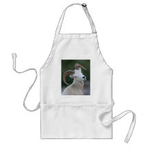 dall sheep apron