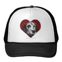 Dalmate avec le coeur casquette de camionneur