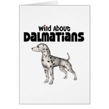 Dalmate Cartes