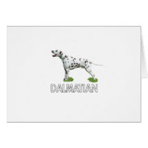 Dalmate Cartes De Vœux