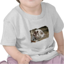 dalmatian-26.jpg t shirt