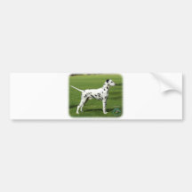 Dalmatian 9J20D-16 Bumper Stickers
