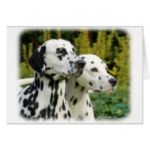 Dalmatian 9T004D-435 Greeting Cards