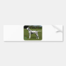 Dalmatian 9T085D-119 Bumper Sticker