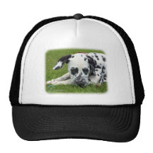 Dalmatian 9W008D-015 Hat