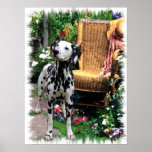 Dalmatian Art Print