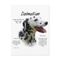 Dalmatian (blk) History Design