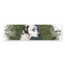 Dalmatian Bumper Sticker