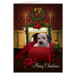 Dalmatian Christmas Cards