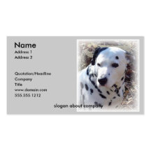 Dalmatian Dog Business Card
