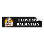 Dalmatian Dog Lover
