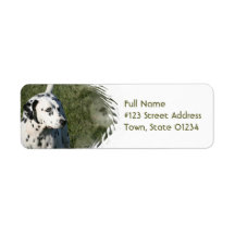 Dalmatian Dog Return Address Label