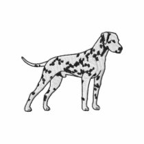 Dalmatian