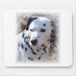 Dalmatian Fire Dog Mouse Pad