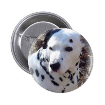 Dalmatian Fire Dog Round Pin