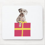 Dalmatian Gift Box Mousepads