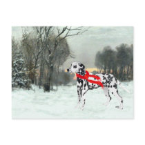 Dalmatian in Winter Snow Post Card