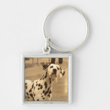 Dalmatian Keychain