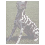 Dalmatian Custom Letterhead