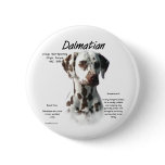 Dalmatian (liver) History Design Pinback Button