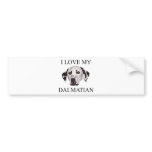 Dalmatian Love! bumper stickers