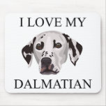Dalmatian Love!