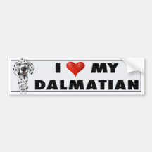 Dalmatian Love Sticker Bumper Sticker