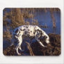 Dalmatian Mousepads