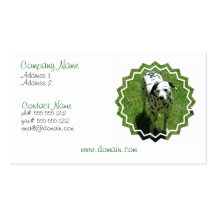 Dalmatian Photo Business Card