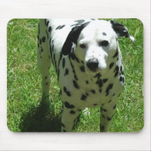 Dalmatian Photo Mouse Pad