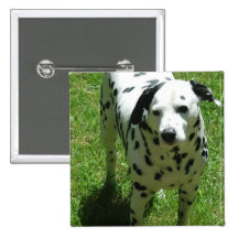 Dalmatian Photo Square Pin