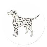 Dalmatian,Png Stickers